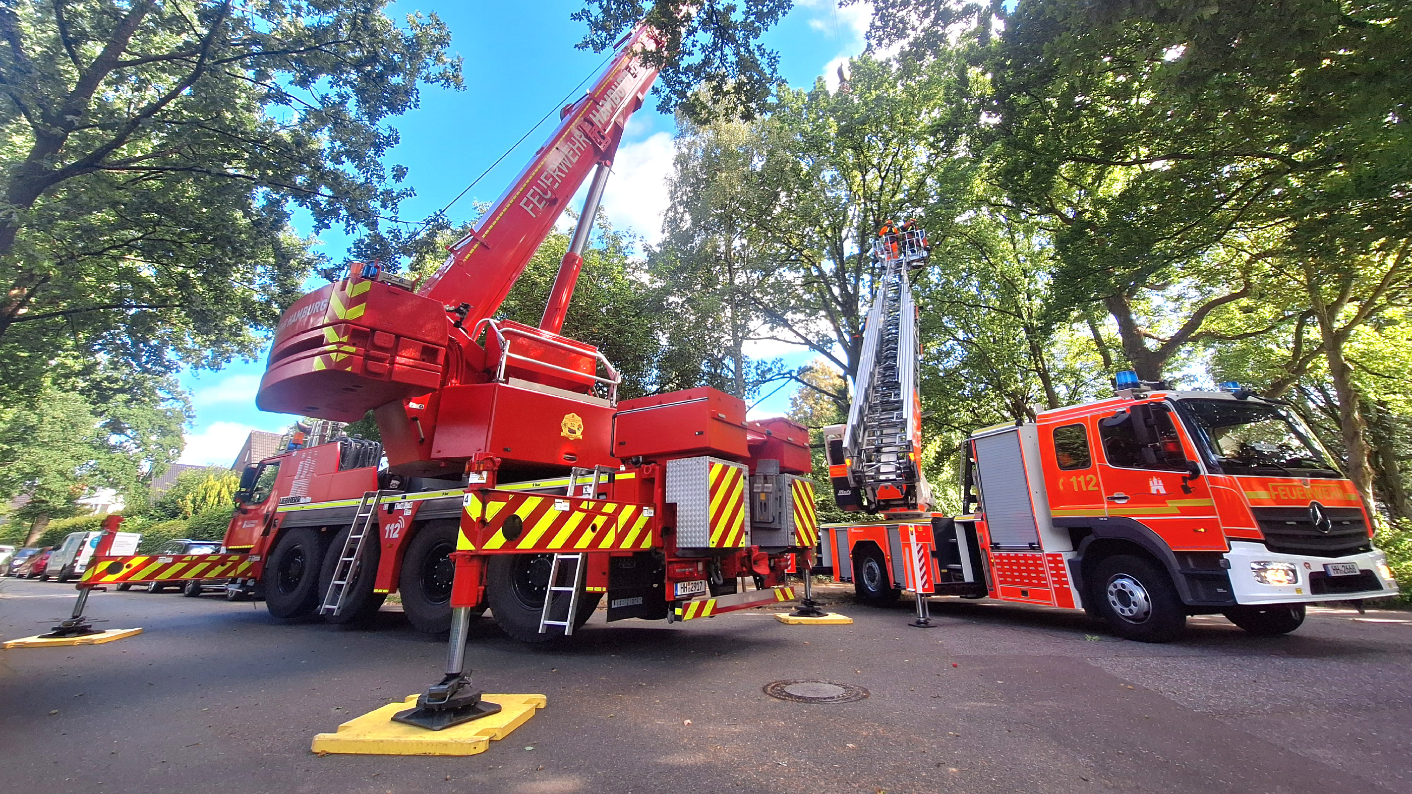 Große, gespaltene Eiche drohte umzustürzen